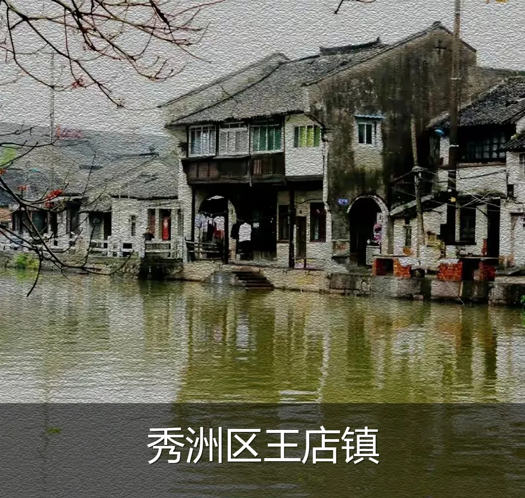秀洲区王店镇