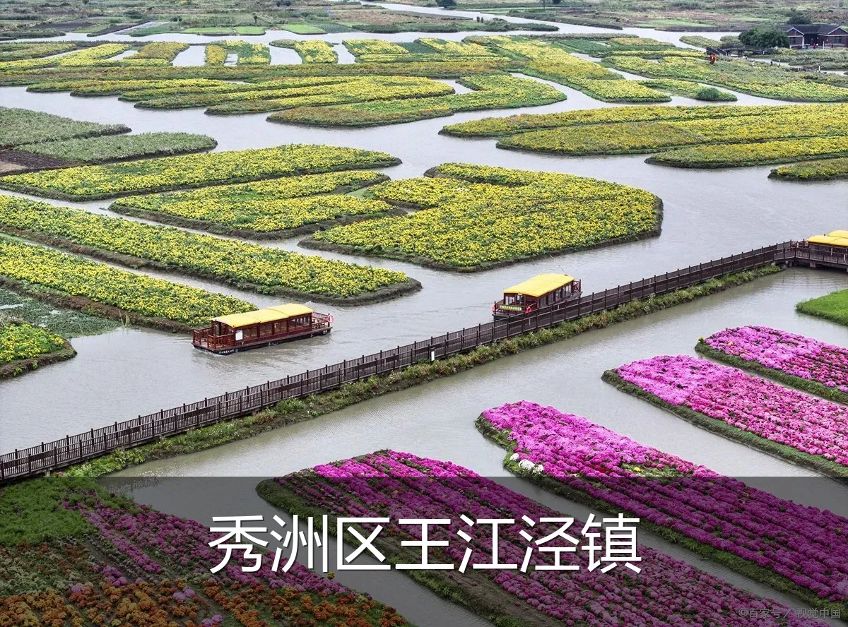 秀洲区王江泾镇